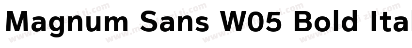 Magnum Sans W05 Bold Italic字体转换